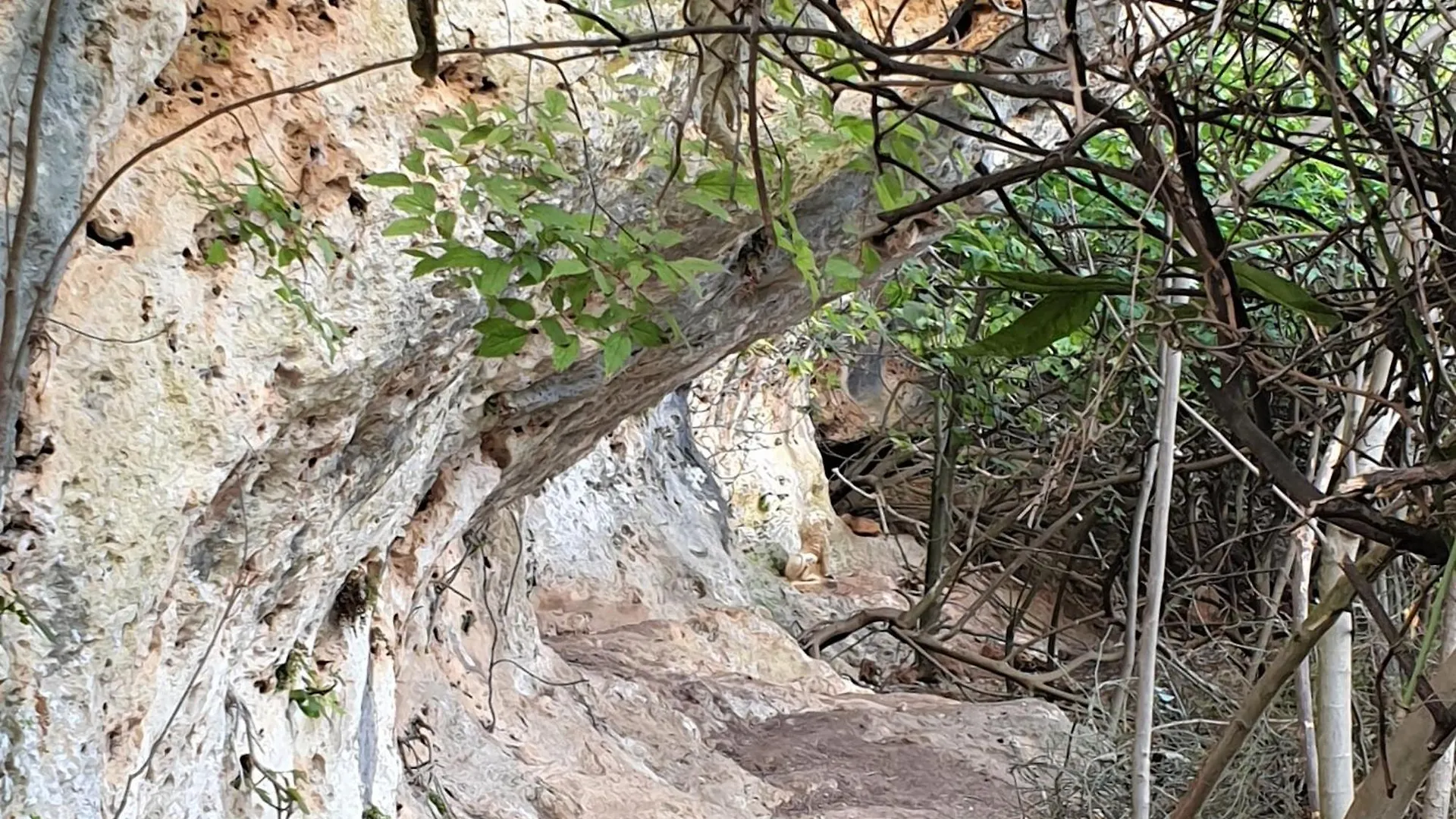 Centro De Naturaleza Canada Verde 