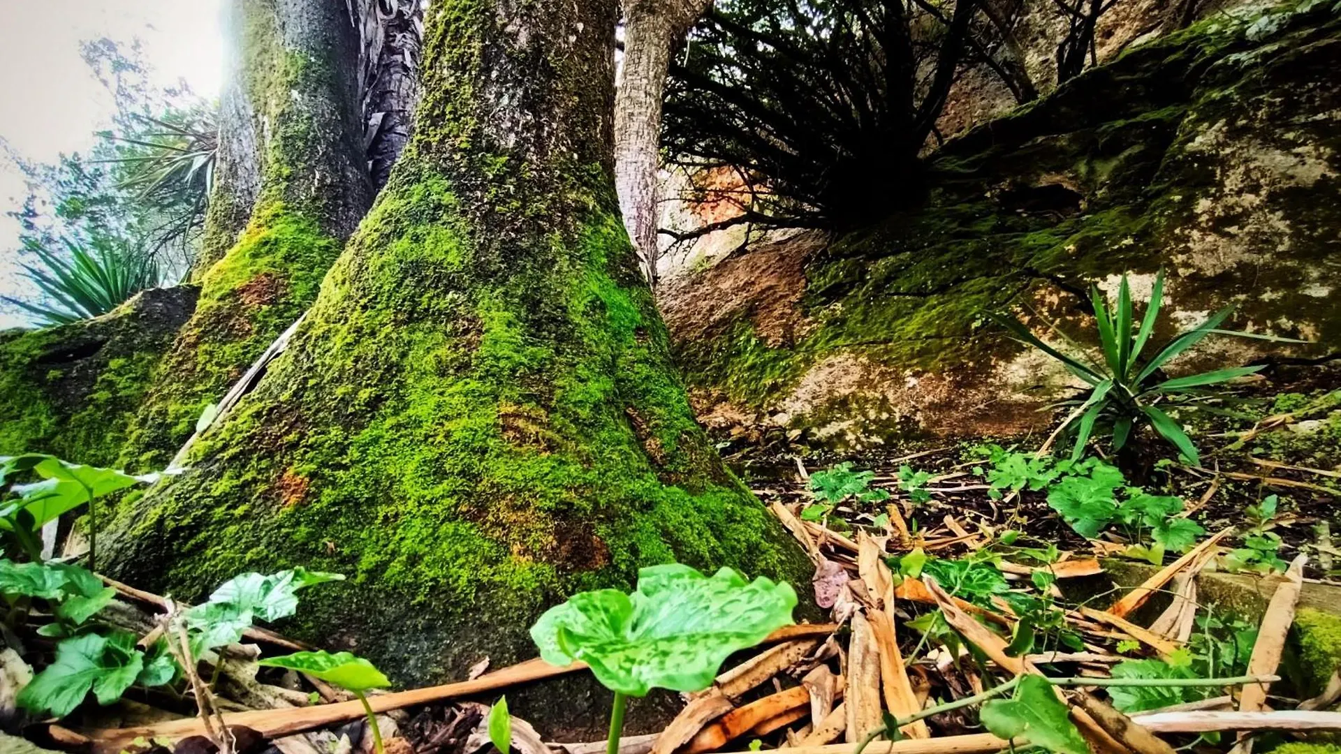Centro De Naturaleza Canada Verde 
